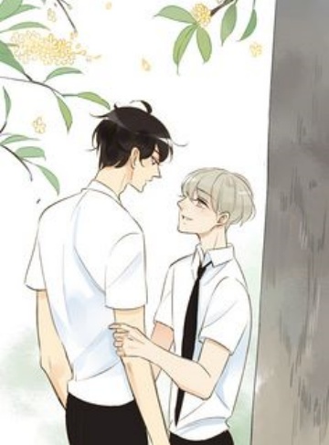 卡牌杀手：小人报仇，从早到晚（苟苟作家）网络小说每日更新_在绝境中反击，你才是真正的强者