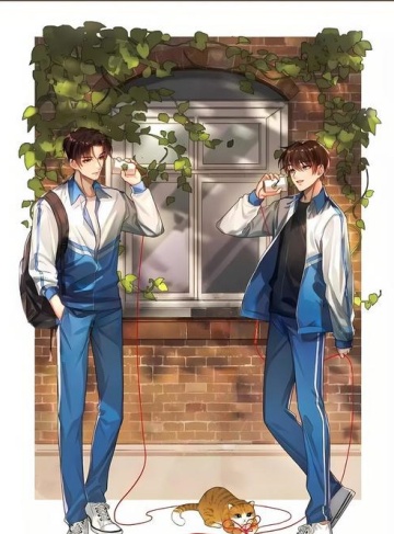 喜欢你的十一年（梧桐泪）精品小说全集下载_青春岁月中的爱与坚持，成长与梦想的交响曲