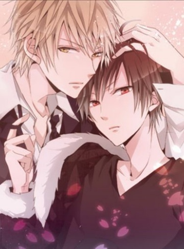 朝夕泽（绯红蓝调）最新章节_在命运与选择之间，找到真实的自我与爱的归属